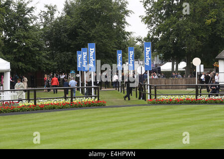 Newmarket, au Royaume-Uni. 12 juillet, 2014. Moët et Chandon juillet Festival, Darley July Cup 24. Entrée de l'anneau avant de commencer la parade : Action Crédit Plus Sport/Alamy Live News Banque D'Images