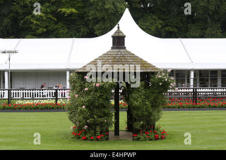 Newmarket, au Royaume-Uni. 12 juillet, 2014. Moët et Chandon juillet Festival, Darley July Cup 24. La masse de Newmarket joliment présentée avant le début de course : Action Crédit Plus Sport/Alamy Live News Banque D'Images