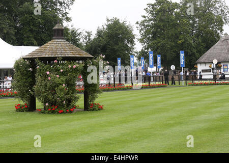 Newmarket, au Royaume-Uni. 12 juillet, 2014. Moët et Chandon juillet Festival, Darley July Cup 24. La masse de Newmarket joliment présentée avant le début de course : Action Crédit Plus Sport/Alamy Live News Banque D'Images