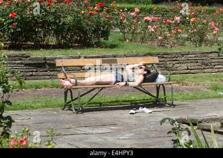 Putney, Londres, Royaume-Uni. 12 juillet, 2014. Une femme de soleil sur un banc de parc comme les Londoniens profitez d'un sort d'ensoleillement et des températures élevées : Crédit amer ghazzal/Alamy Live News Banque D'Images