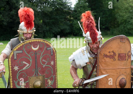 Ribchester, Lancashire, Royaume-Uni, le 12 juillet 2014. Le groupe de reconstitution legio secunda augusta étaient présents pour célébrer le centenaire de ribchester roman museum. Le groupe a démontré qu'est-ce qu'était que de vivre en Grande-Bretagne à l'époque romaine. Le British museum a prêté le "casque de ribchester', qui a été trouvé dans le village pour marquer le centenaire du musée. Le casque était voté la seconde meilleure trouver' romain, derrière les tablettes de vindolanda, selon un sondage mené par le site web de channel 4 television programme temps équipe. crédit : Paul melling/Alamy live news Banque D'Images