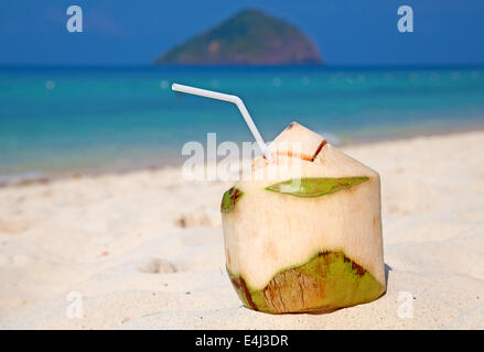 Cocktail de noix de coco sur la plage de sable blanc Banque D'Images