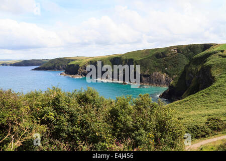 Une vue le long de la côte de Port Quin Bay sur la côte sud-ouest du chemin Cornwall Banque D'Images