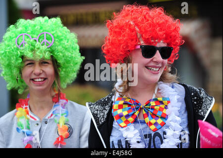 La Mauselaine Gérardmer, France. 12 juillet, 2014. Amateurs de vélo au cours de l'étape 8 du Tour de France à la Mauselaine Gérardmer dans les Vosges, France. Photo : Miroslav Dakov/ Alamy Live News Banque D'Images