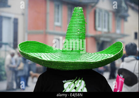 La Mauselaine Gérardmer, France. 12 juillet, 2014. Ventilateur à vélo au cours de l'étape 8 du Tour de France à la Mauselaine Gérardmer dans les Vosges, France. Photo : Miroslav Dakov/ Alamy Live News Banque D'Images