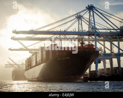 Grues portiques de quai de déchargement des conteneurs de fret intermodal de conteneurs deux navires ont accosté au port d'Oakland Banque D'Images