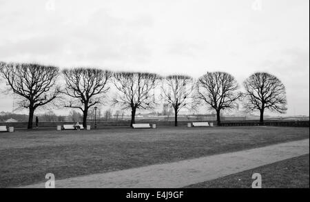 Ruelles dans le parc sur l'île Vasilevsky de flèche. Banque D'Images