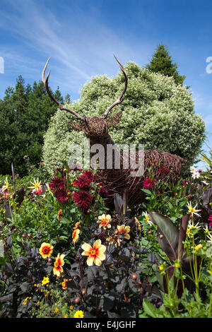 Statue de cerf en forme de vickerwork, de brindilles ou de brindilles tressées ou de rosiers dans de superbes jardins primés de Ness, sur la péninsule Wirral, surplombant l'estuaire de la Dee, au Royaume-Uni Banque D'Images