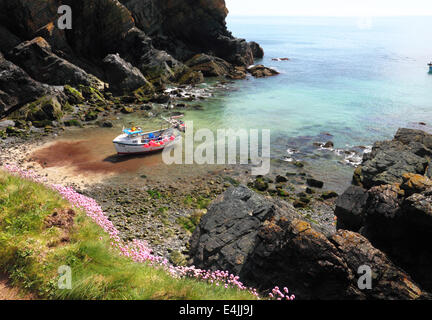 Un bateau de pêche vu de dessus sur une plage avec de l'économie rose au premier plan. Banque D'Images