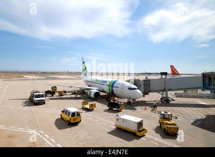 Un avion de Transavia sur le tarmac, l'aéroport de Faro, Algarve, Portugal, Europe Banque D'Images