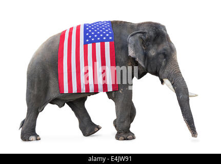 Elephant porte un drapeau USA Banque D'Images