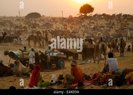 Dans le terrain à Pushkar Camel Fair Banque D'Images