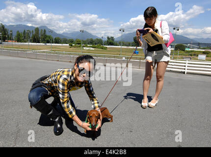 Vancouver, Canada. Le 13 juillet, 2014. Emma (L) pose avec Frankie avant le début des courses de chiens Wiener annuel à Hastings Race Course à Vancouver, Canada, le 13 juillet 2014. Plus de 70 teckels étaient en cours d'exécution à la ligne d'arrivée. © Sergei Bachlakov/Xinhua/Alamy Live News Banque D'Images