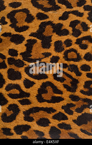 Leopard print pattern Banque D'Images
