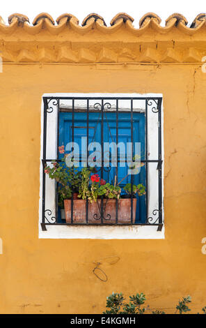 Vieille fenêtre avec les pots de fleurs dans la vieille ville de Marbella, Malaga, Andalousie, Espagne Banque D'Images