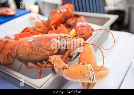 Les homards au Dorset festival des fruits de mer. Weymouth, Dorset, UK Banque D'Images