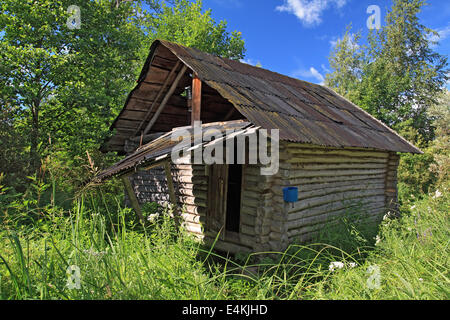 Hunter's hut dans une forêt verte Banque D'Images