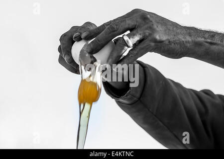 Mains d'un homme un oeuf de fissuration - chaîne Digitaly manipulé seulement l'oeuf est en couleur le reste est en noir et blanc Banque D'Images