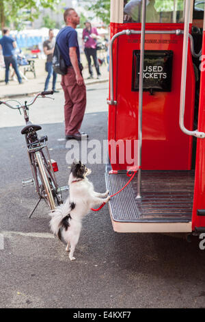 Au total, 136 ont assisté à 60 Routemasters Routemaster Finsbury Park, Londres. Banque D'Images