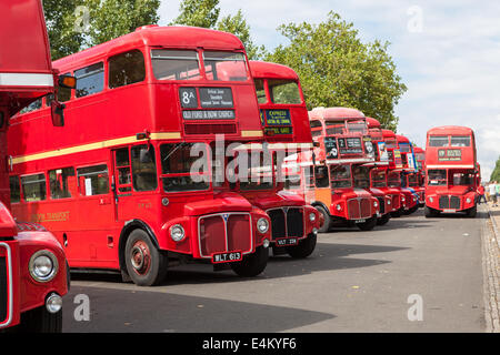 Au total, 136 ont assisté à 60 Routemasters Routemaster Finsbury Park, Londres. Banque D'Images