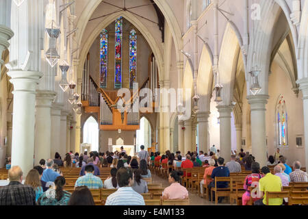 Brisbane, Australie, St. Stephen's Cathedral,intérieur,pews,AU140316023 Banque D'Images