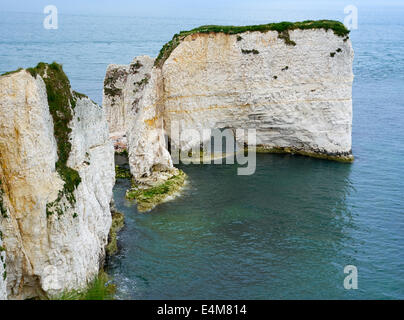 Old Harry Rocks, Handfast Point, la Côte Jurassique, Dorset Banque D'Images