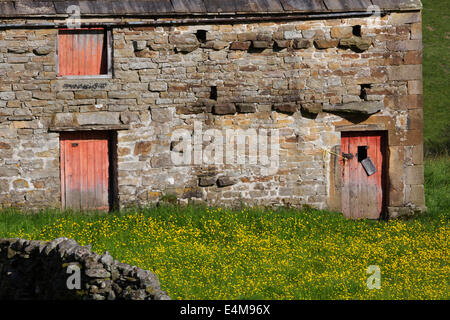 Grange en pierre avec des portes rouges, Swaledale, Yorkshire Dales Banque D'Images