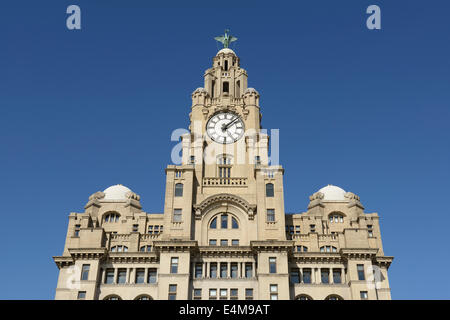 De près de l'Édifice du foie à la Pier Head dans le centre-ville de Liverpool Banque D'Images