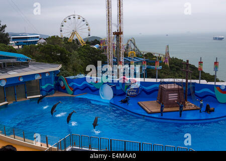 Chine HONG KONG Ocean Park aquarium dolphin show Banque D'Images