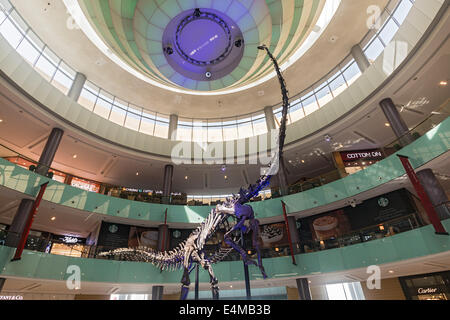 Full size, 80 pieds de long, 155 millions d'années squelette de dinosaure en exposition dans le centre commercial de Dubaï Banque D'Images