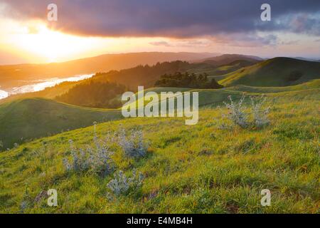 Coucher de soleil sur la crête de Bolinas, Mt. Tamalpais State Park, comté de Marin, en Californie, au printemps. Banque D'Images