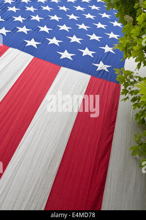 Grand drapeau américain suspendu à un mur à côté d'un arbre. Banque D'Images