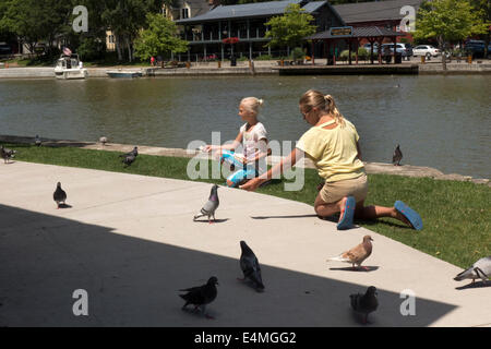 L'alimentation des enfants canards au canal Érié. Banque D'Images