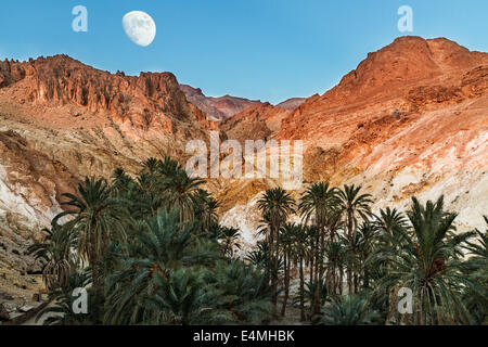 Lune dans un oasis de montagne Banque D'Images