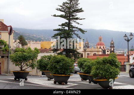 Vue sur la vieille ville coloniale de La Orotava, Tenerife, Espagne, à partir de la Plaza de la Constitución de la Concepción church Banque D'Images