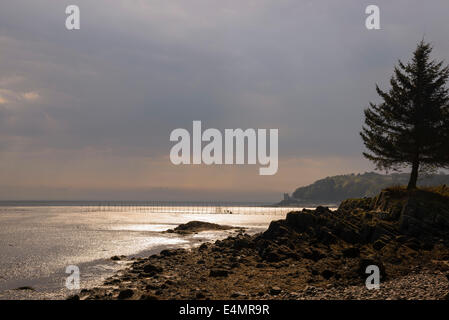 Balcary Bay, Auchencairn Bay, Solway Firth, Dumfries et Galloway, Écosse Banque D'Images