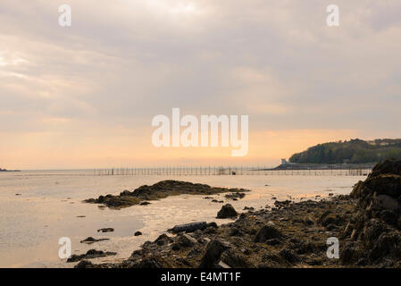 Balcary Bay, Auchencairn Bay, Solway Firth, Dumfries et Galloway, Écosse Banque D'Images