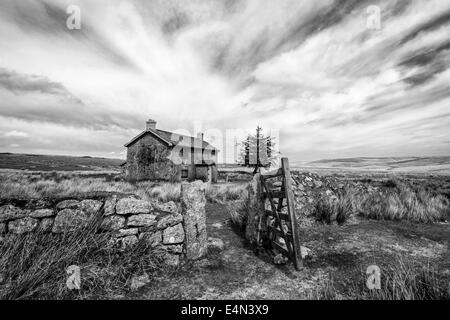 Black & White de moniales Cross Farm, Dartmoor Banque D'Images