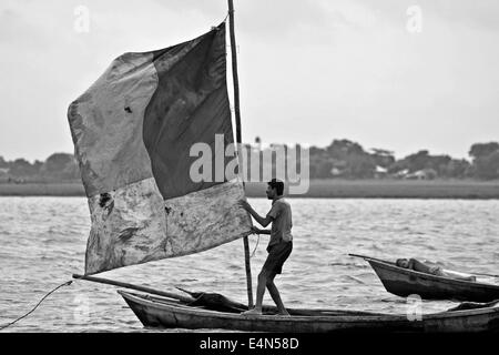 La voile au Bangladesh Bangladesh,bateau,voile,,avec,en,rivière meghna, sky,asia,sud,Asie,voile,couleur,Nuage,Communauté,d'image Banque D'Images