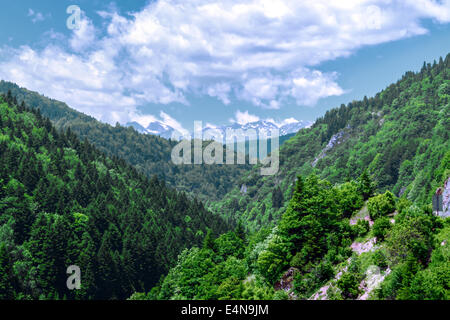 Vue sur la forêt et les magnifiques collines de montagne en Mavrovo Banque D'Images