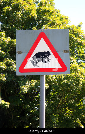 Signe de route Avertissement à l'attention de grenouilles et crapauds au croisement à Briggate, près de North Walsham, Norfolk, Angleterre, Royaume-Uni. Banque D'Images