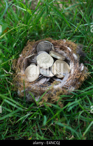 Anglais Pièces dans une oiseaux nichent sur l'herbe Banque D'Images