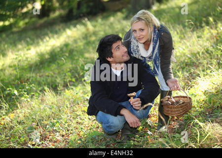 Couple cueillette de champignons dans un champ Banque D'Images