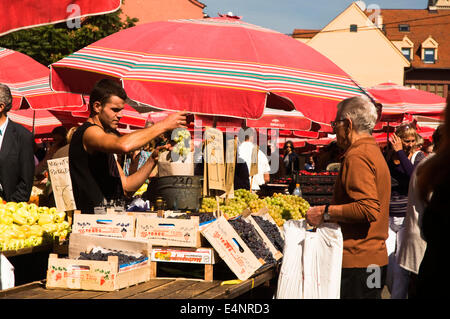 L'EUROPE, Croatie, Zagreb, marché plein air, étal de fruits Banque D'Images