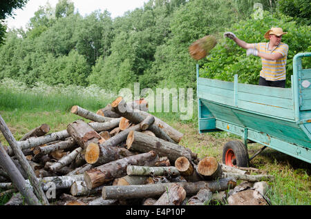 L'homme travailleur agricole forte arbre de déchargement de bois grumes de bois de chauffage près de la remorque du tracteur maison rural bûcher. Banque D'Images