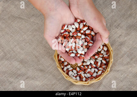 Femme palmful de petits haricots colorés organiques sur le panier en osier sur fond lin Banque D'Images