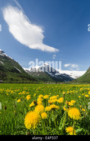 Landschaft im Boeyadalen, Sogndal, Sogn og Fjordane Fylke, Norwegen Banque D'Images