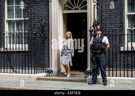 Londres, Royaume-Uni. 15 juillet, 2014. Le premier ministre David Cameron annonce un remaniement ministériel Crédit : Guy Josse/Alamy Live News Banque D'Images