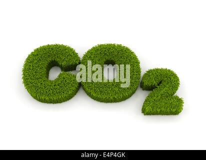 Co2 3d lettres grass isolated on white Banque D'Images