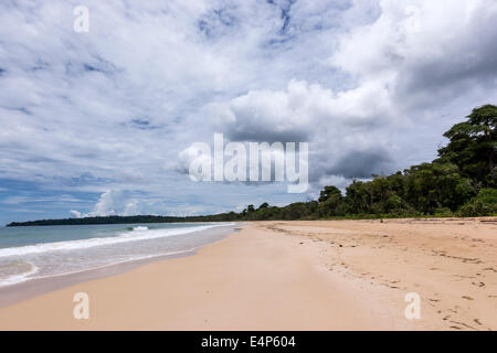 Red Frog beach Isla Bastimentos Bocas del Toro Panama Banque D'Images